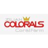 Colorals Coral Farm Zilian