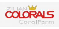 Colorals Coral Farm Zilian